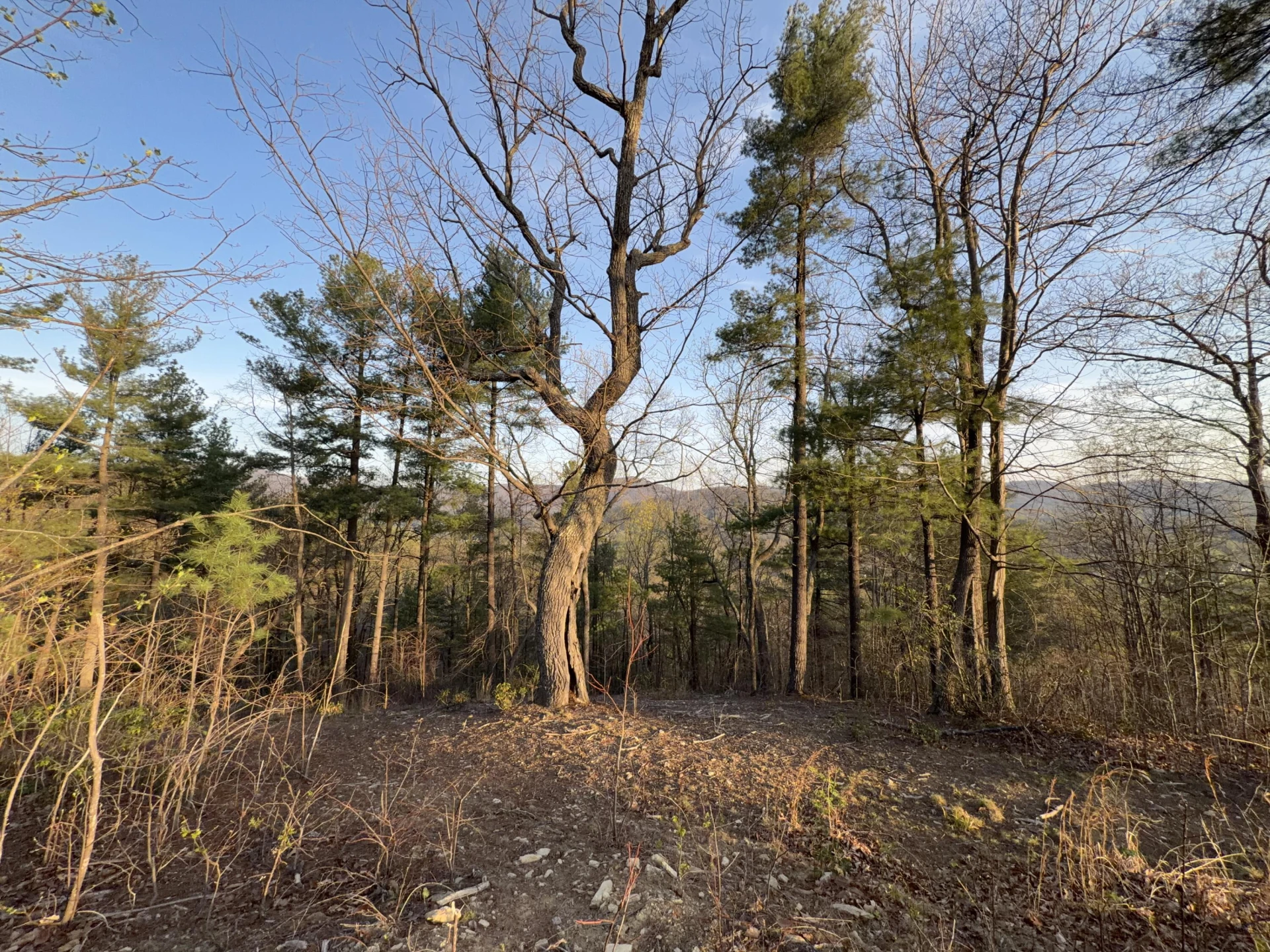 0 Whistler DR - Photo 10