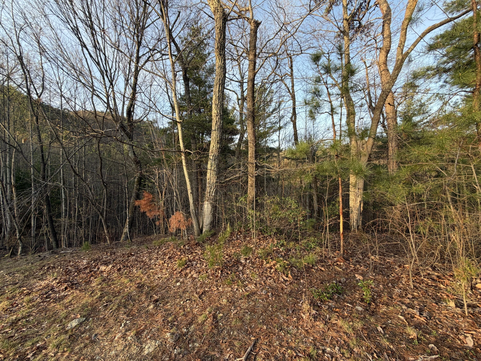 0 Whistler DR - Photo 12