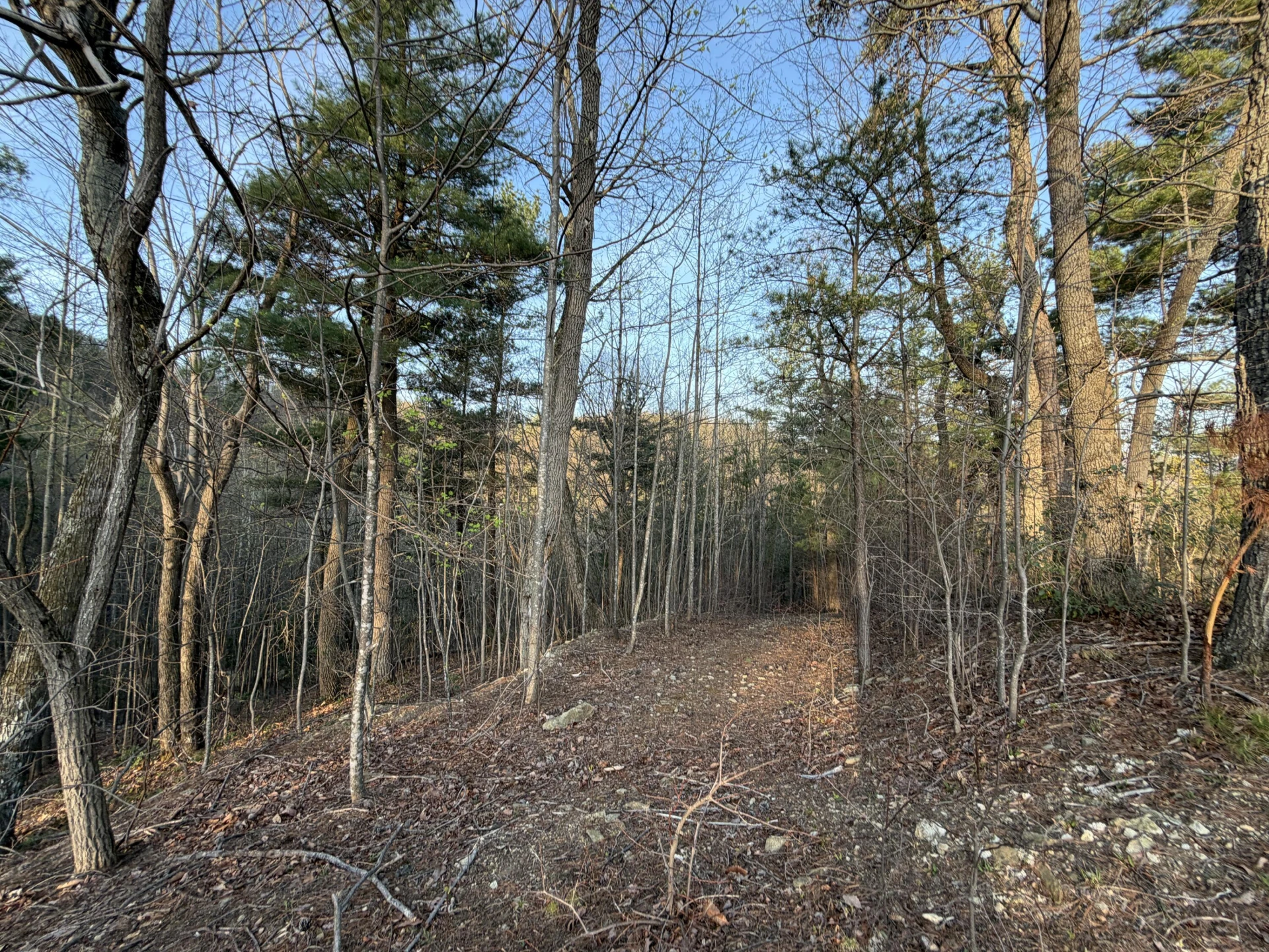 0 Whistler DR - Photo 13