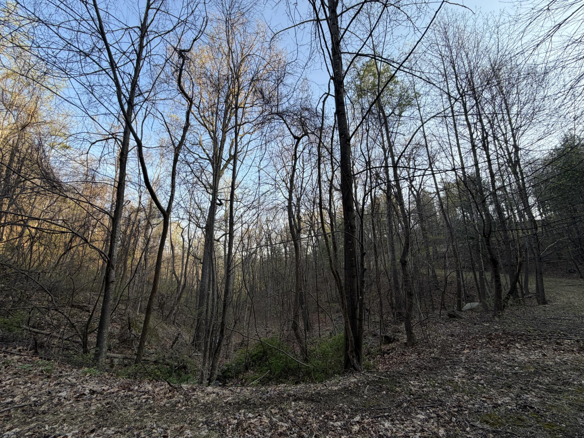 0 Whistler DR - Photo 21