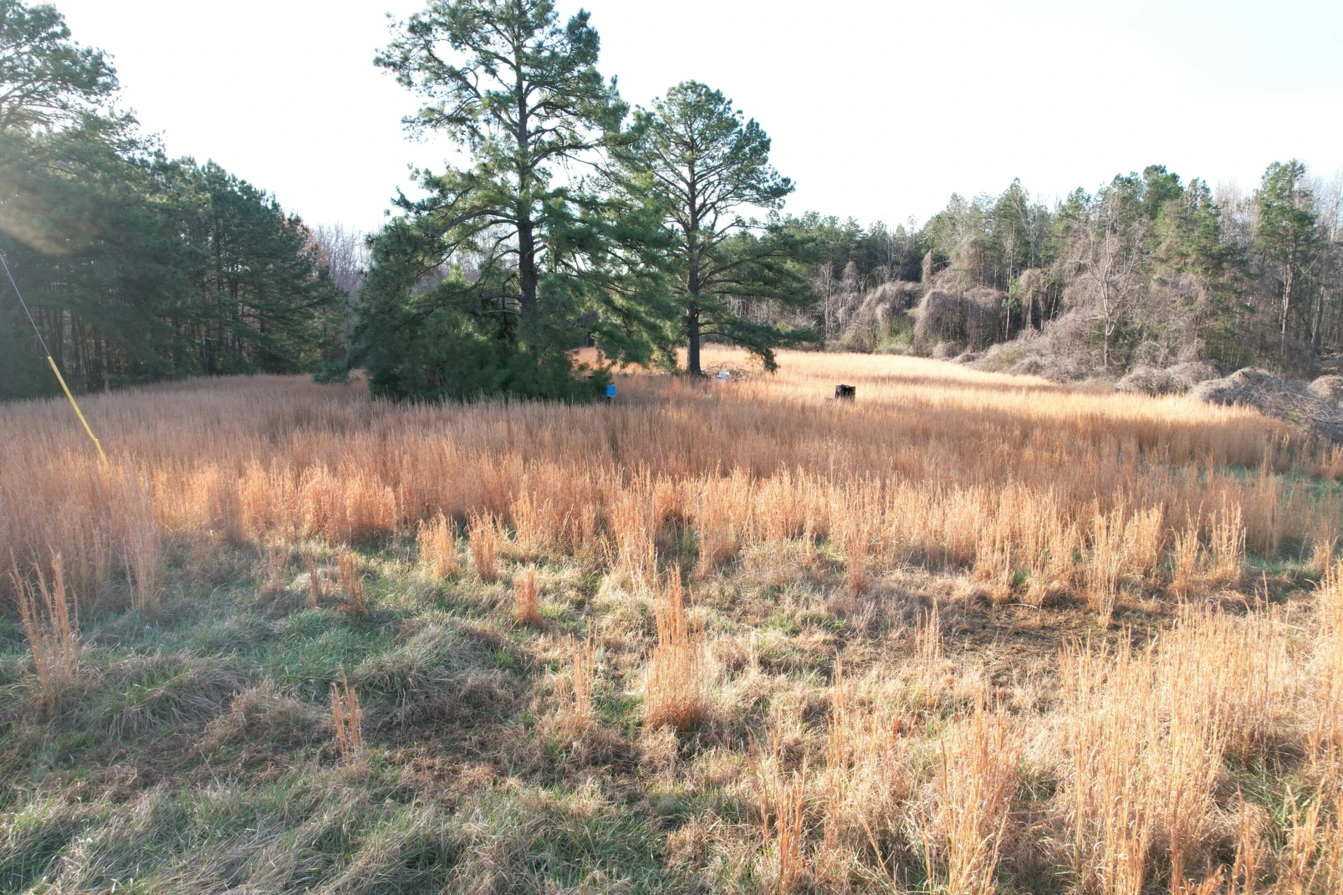 15796 Gretna RD - Photo 16