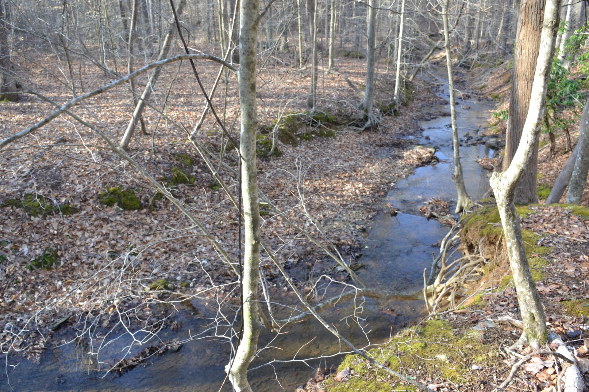 15796 Gretna RD - Photo 2