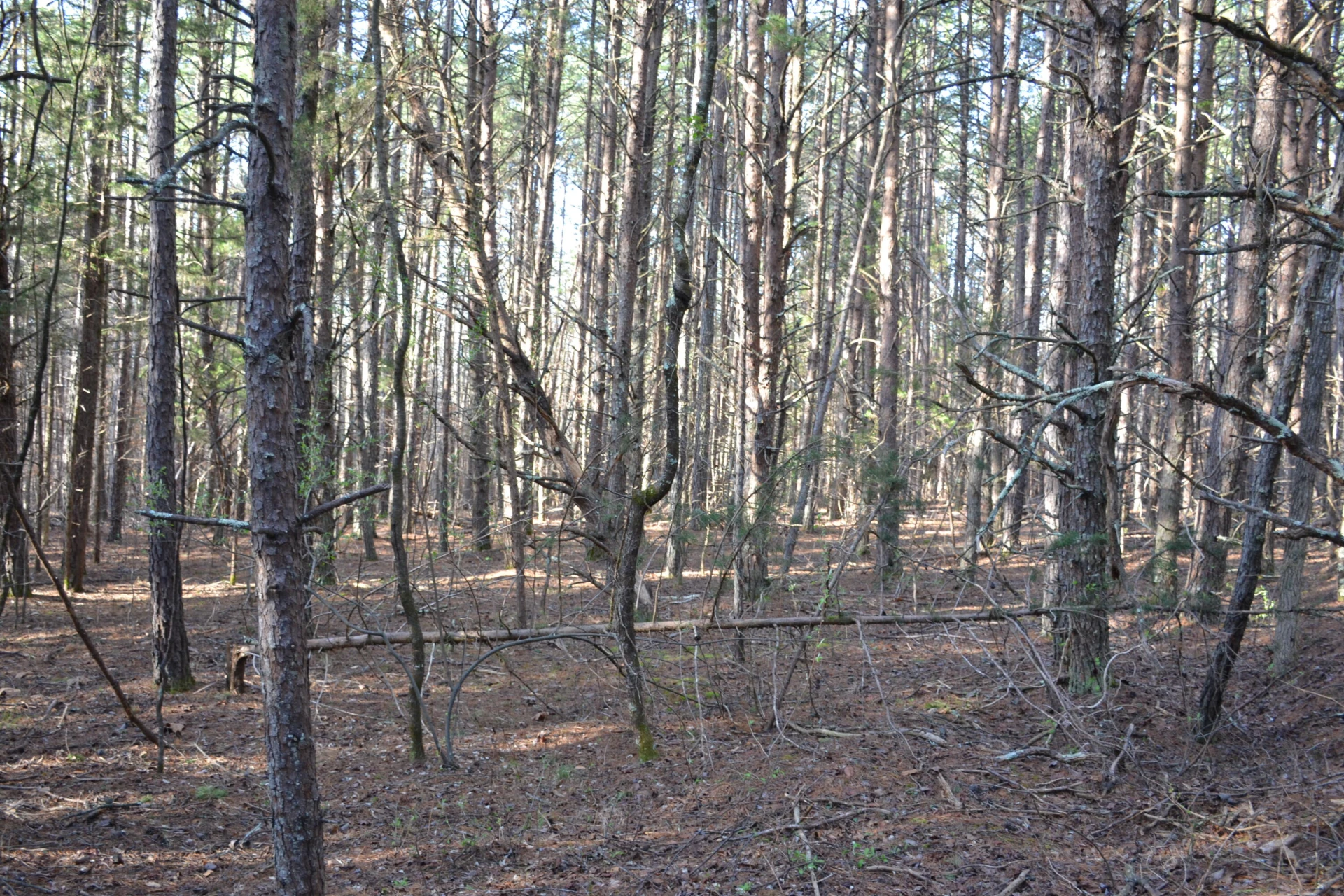 15796 Gretna RD - Photo 20