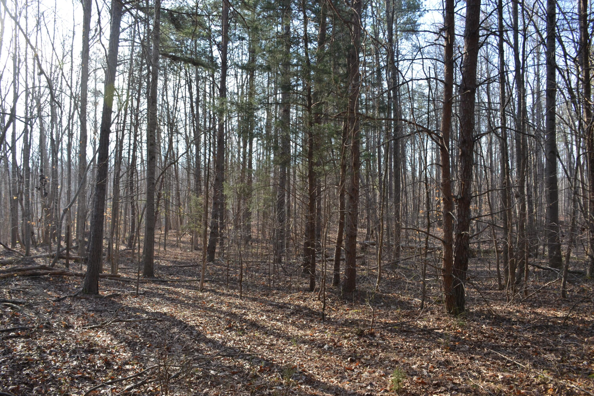 15796 Gretna RD - Photo 21