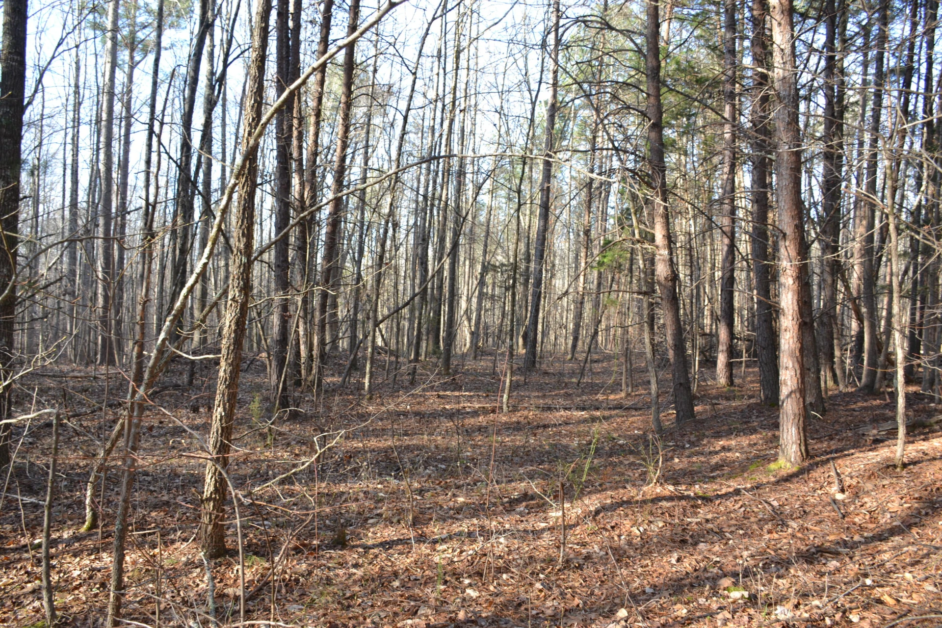 15796 Gretna RD - Photo 22