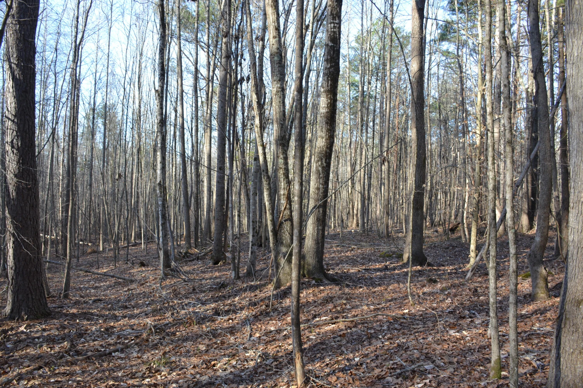 15796 Gretna RD - Photo 23