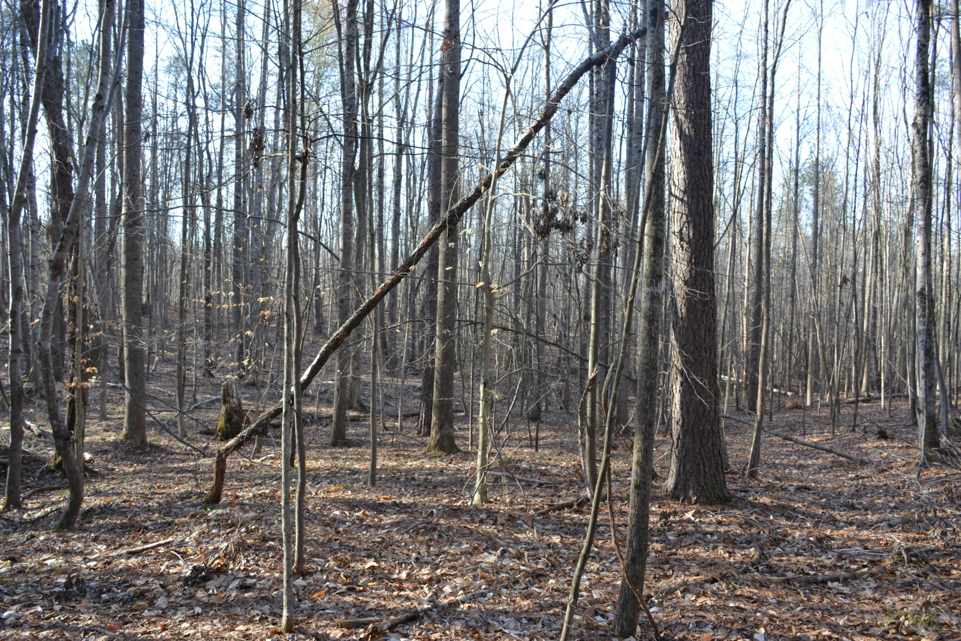 15796 Gretna RD - Photo 24