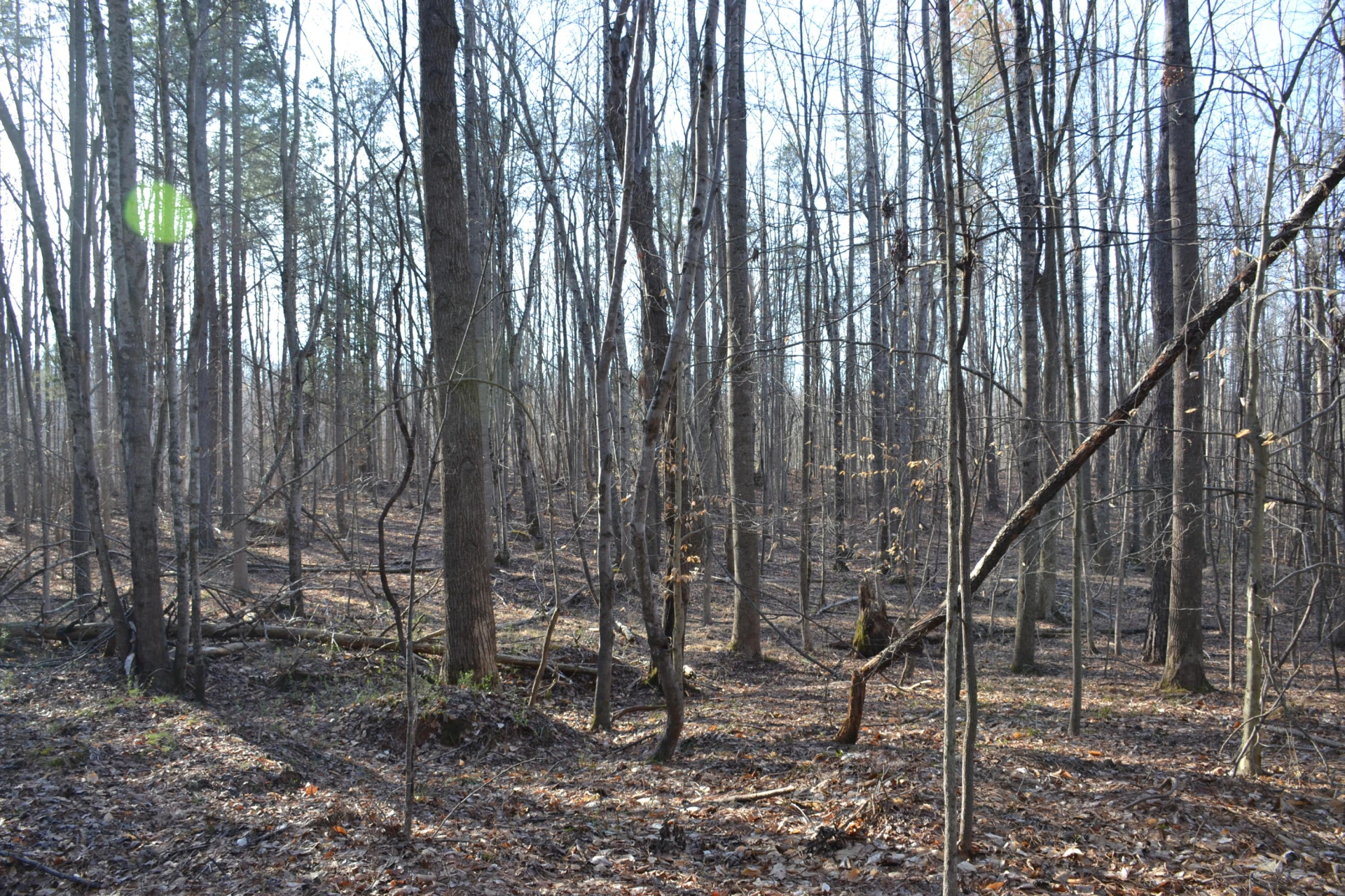 15796 Gretna RD - Photo 25