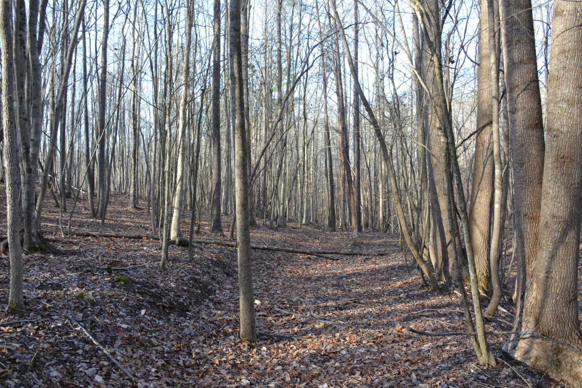 15796 Gretna RD - Photo 26