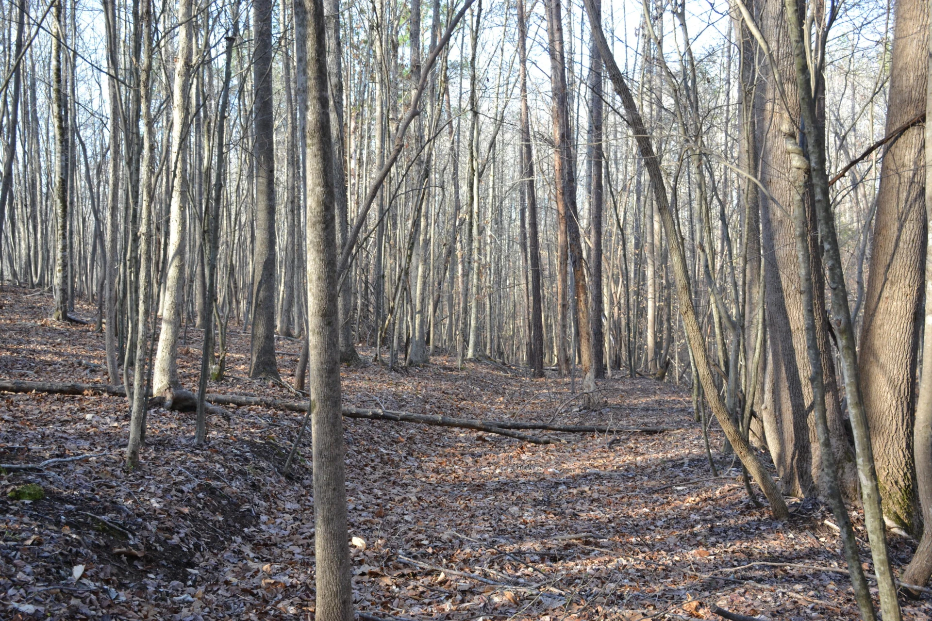 15796 Gretna RD - Photo 27