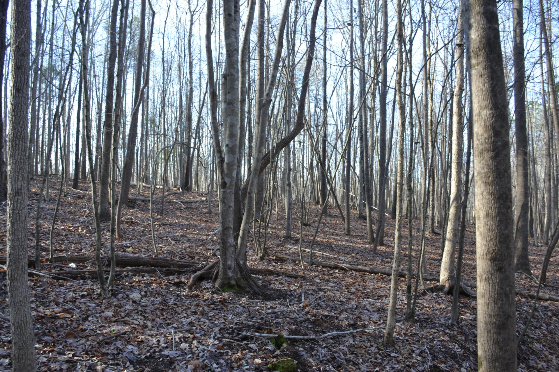 15796 Gretna RD - Photo 28