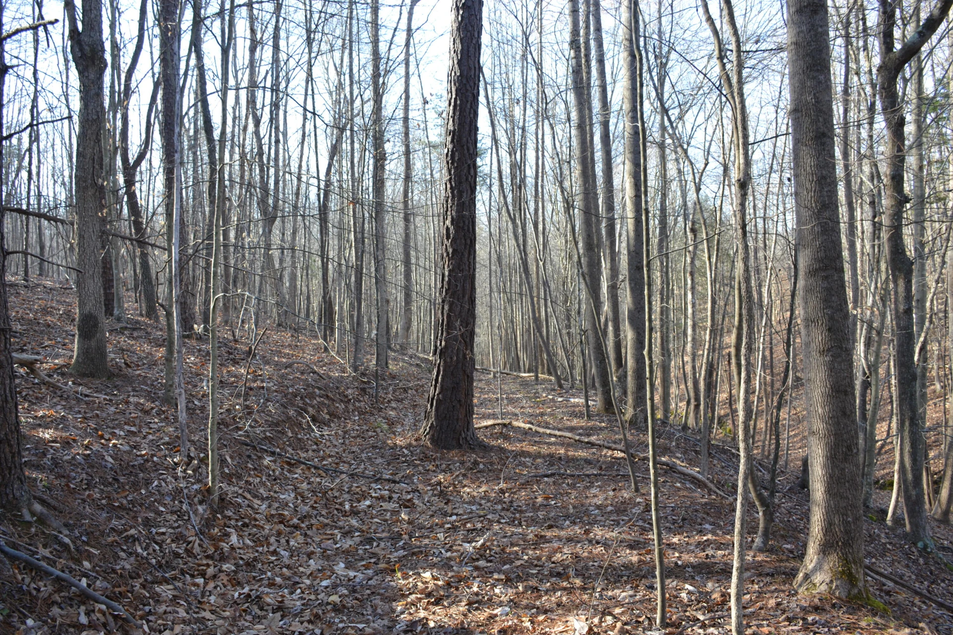 15796 Gretna RD - Photo 29