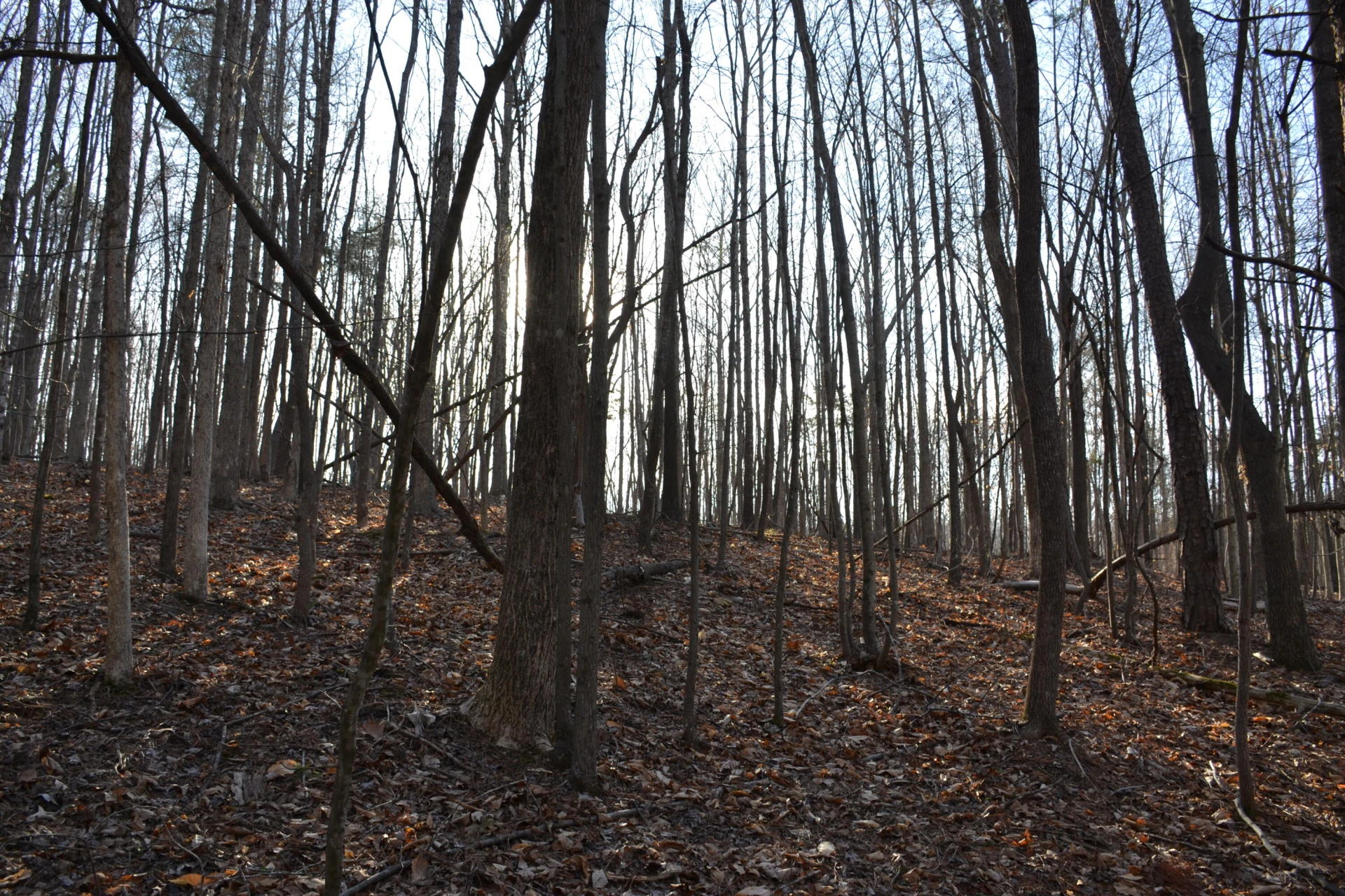 15796 Gretna RD - Photo 30