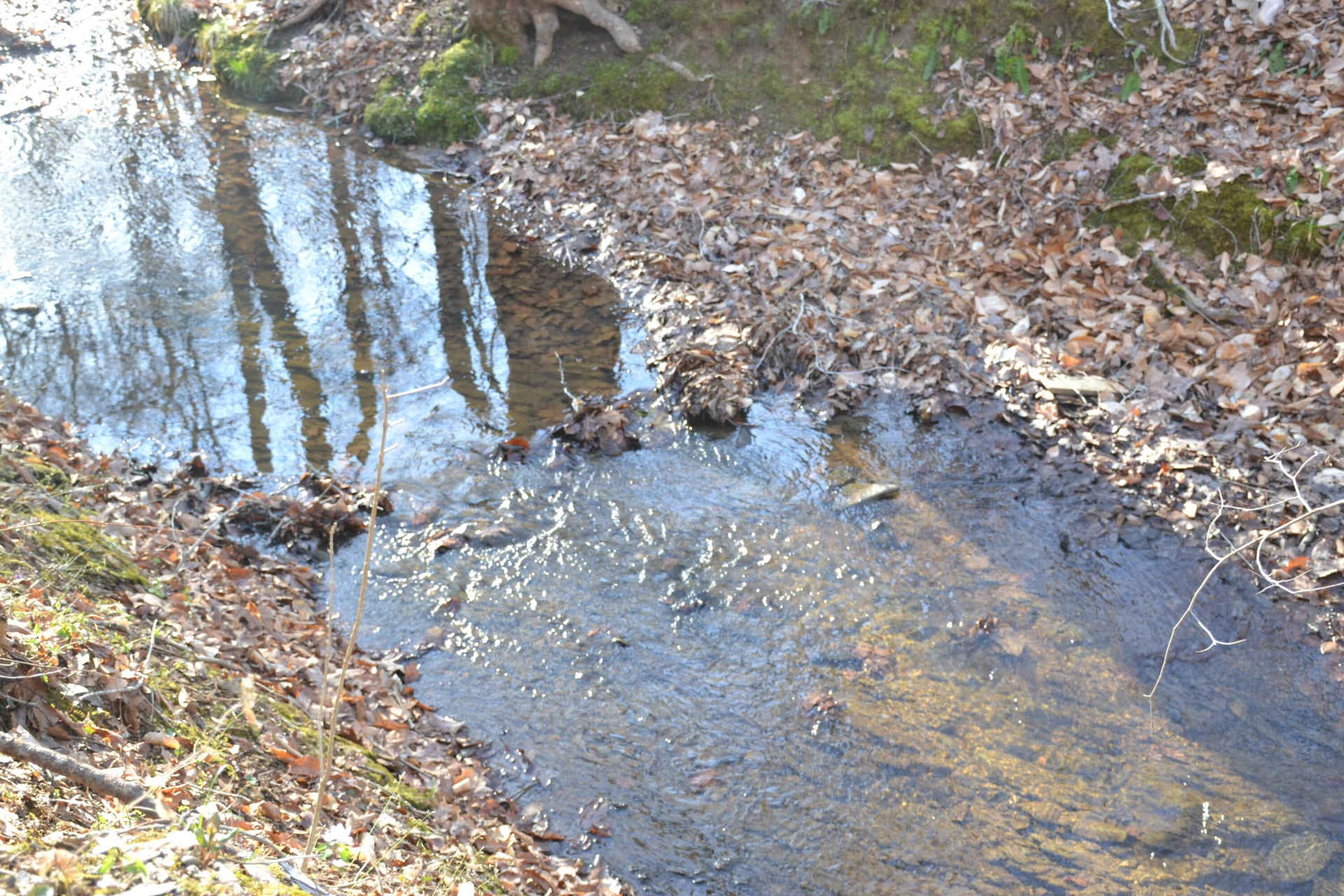 15796 Gretna RD - Photo 31