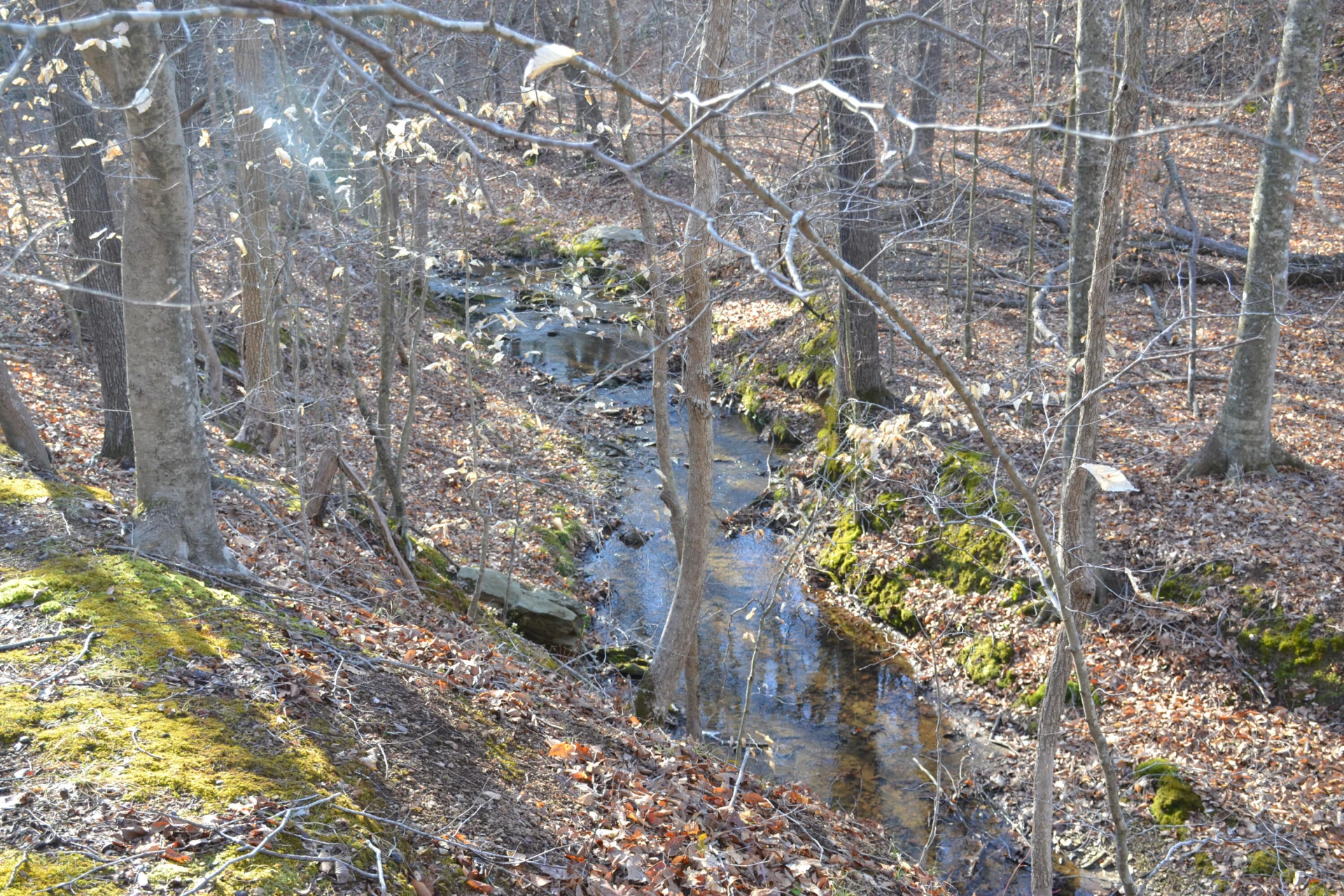 15796 Gretna RD - Photo 32