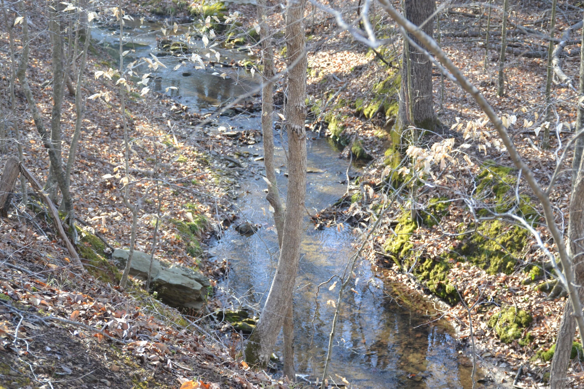 15796 Gretna RD - Photo 33