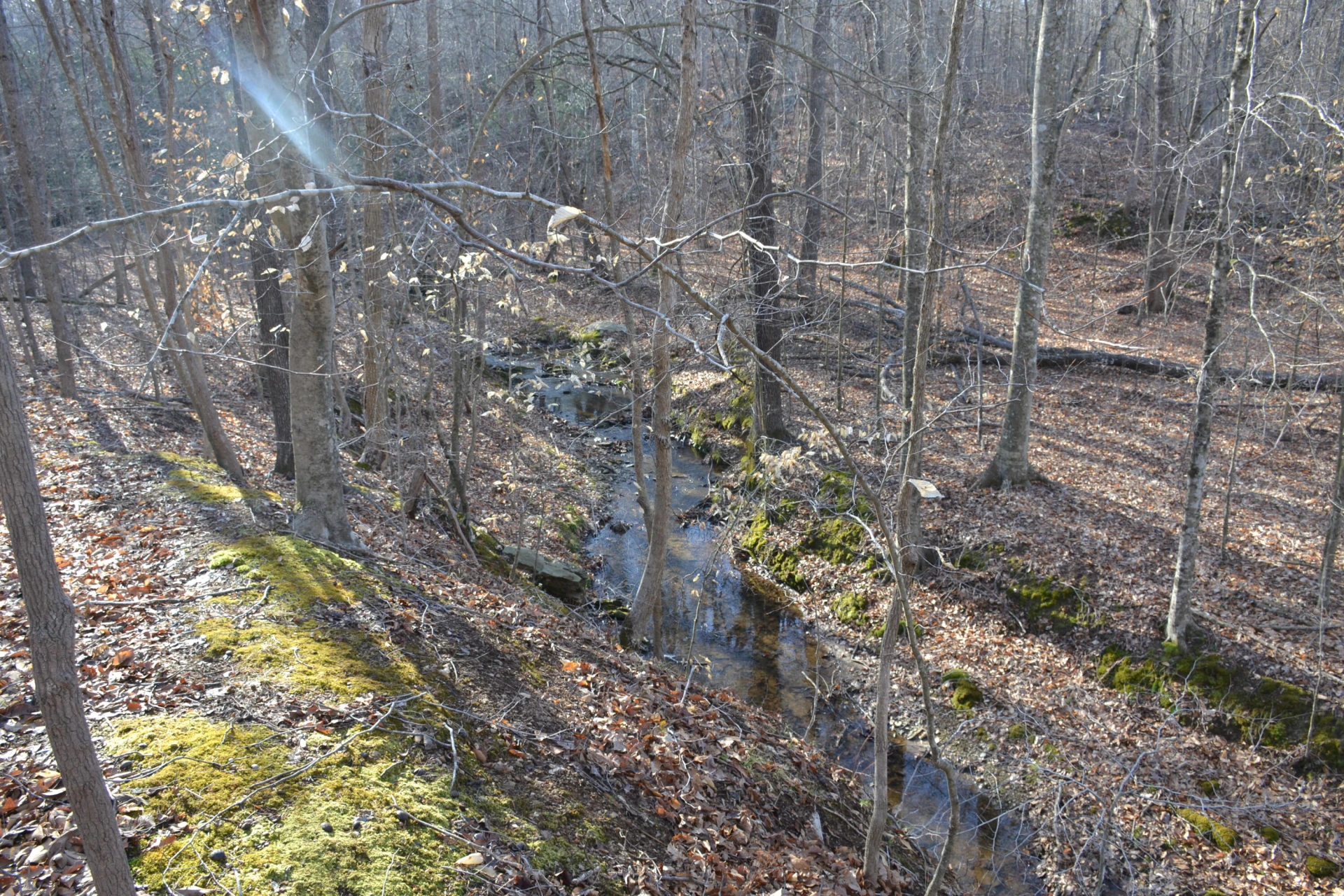 15796 Gretna RD - Photo 34