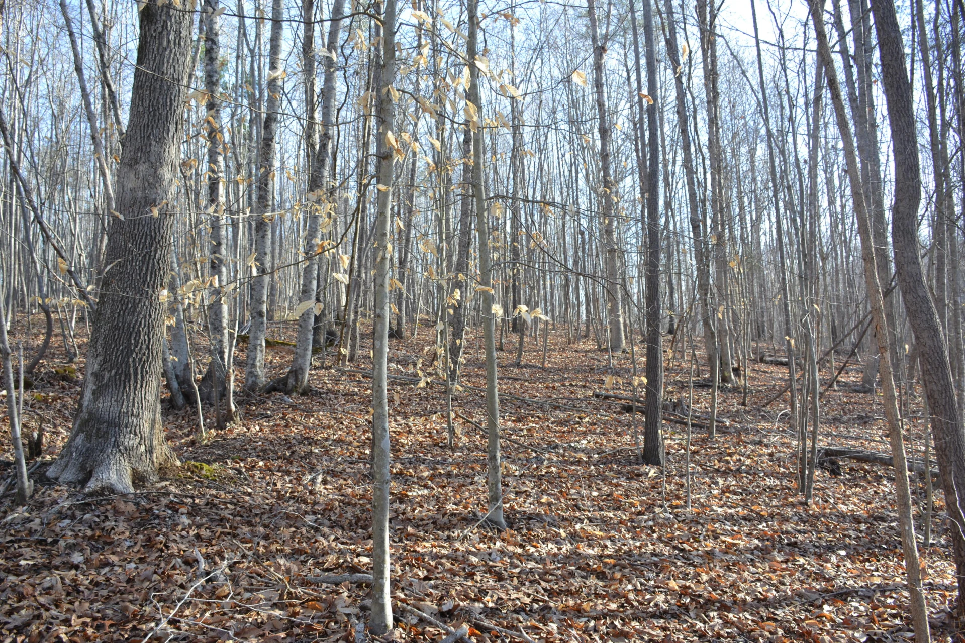 15796 Gretna RD - Photo 35