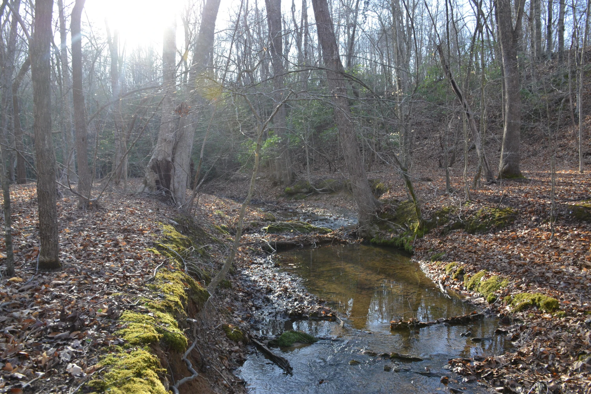 15796 Gretna RD - Photo 36