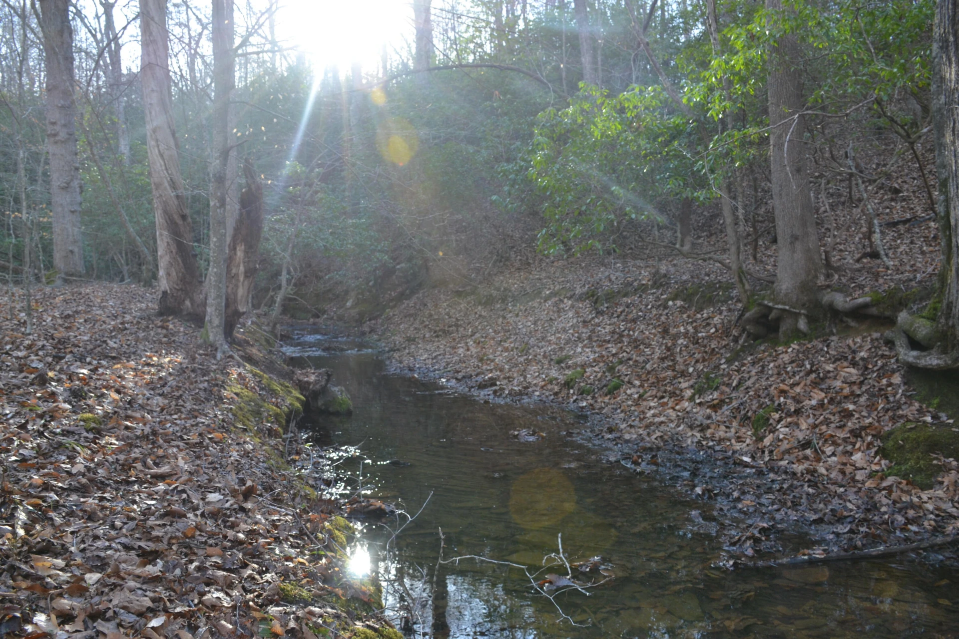 15796 Gretna RD - Photo 37
