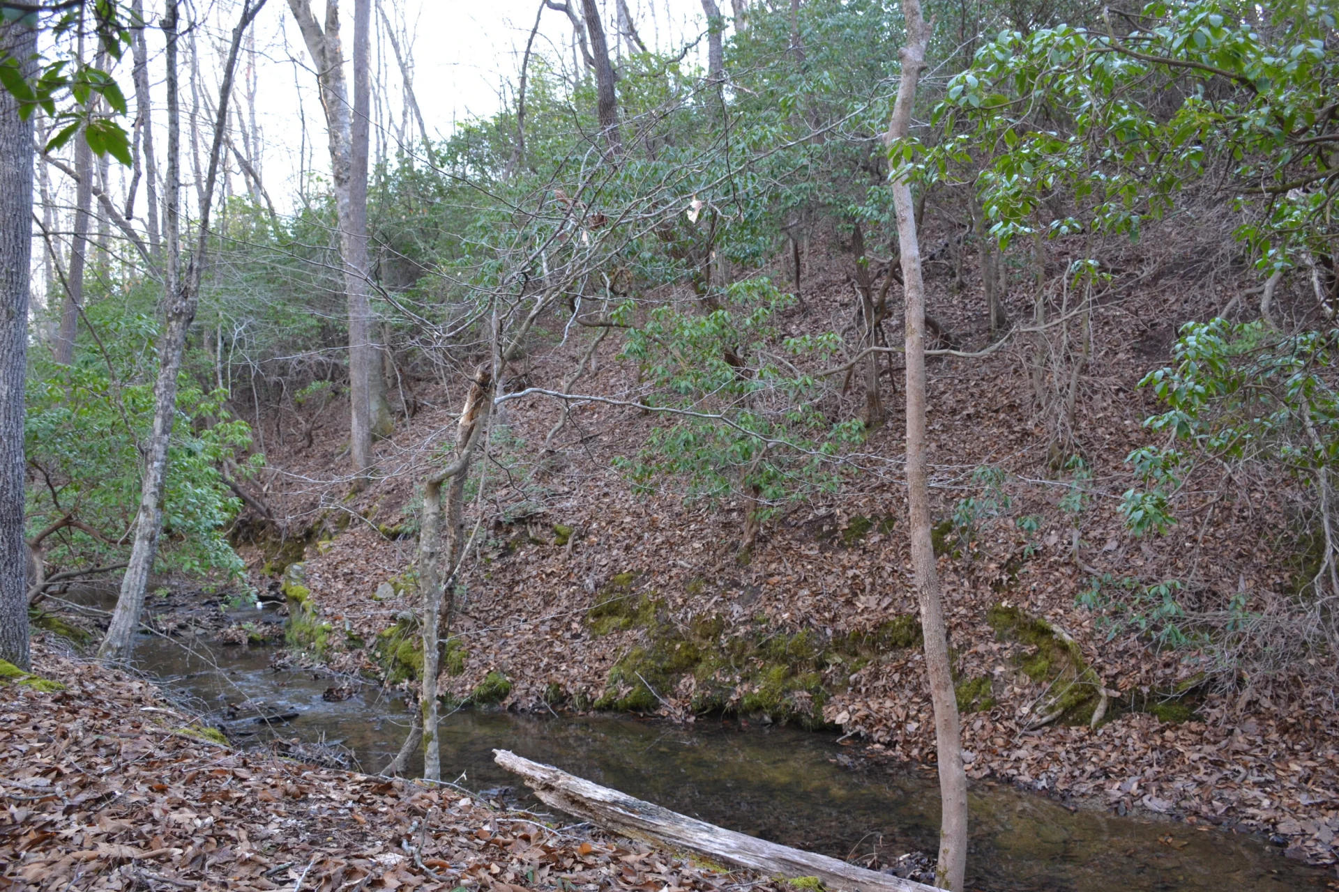15796 Gretna RD - Photo 38