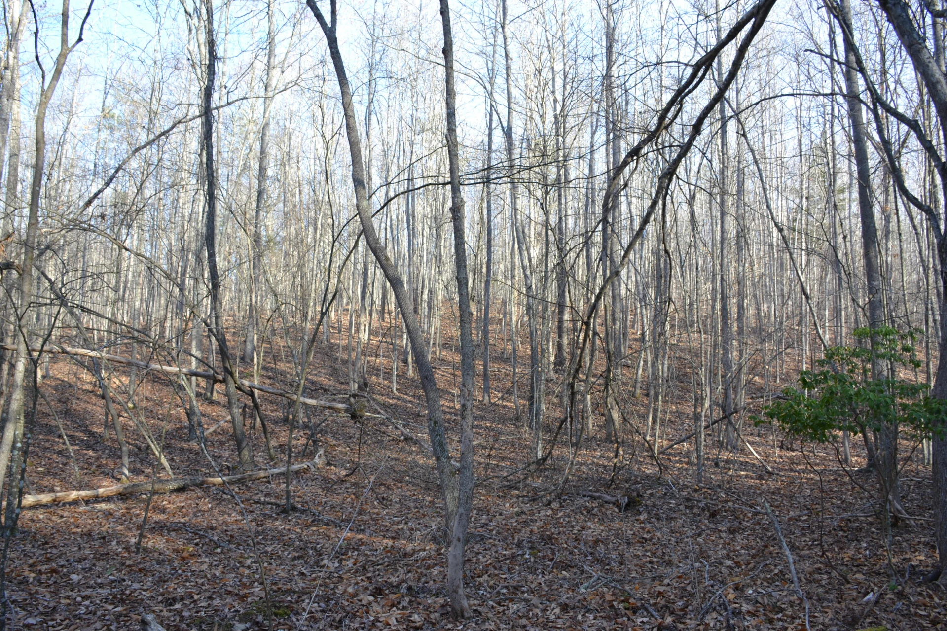 15796 Gretna RD - Photo 39
