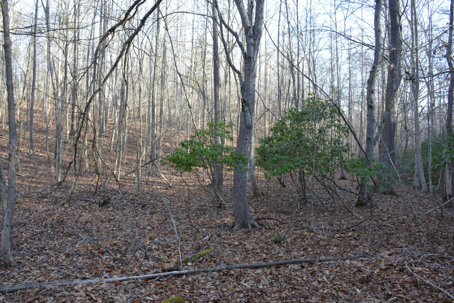 15796 Gretna RD - Photo 40