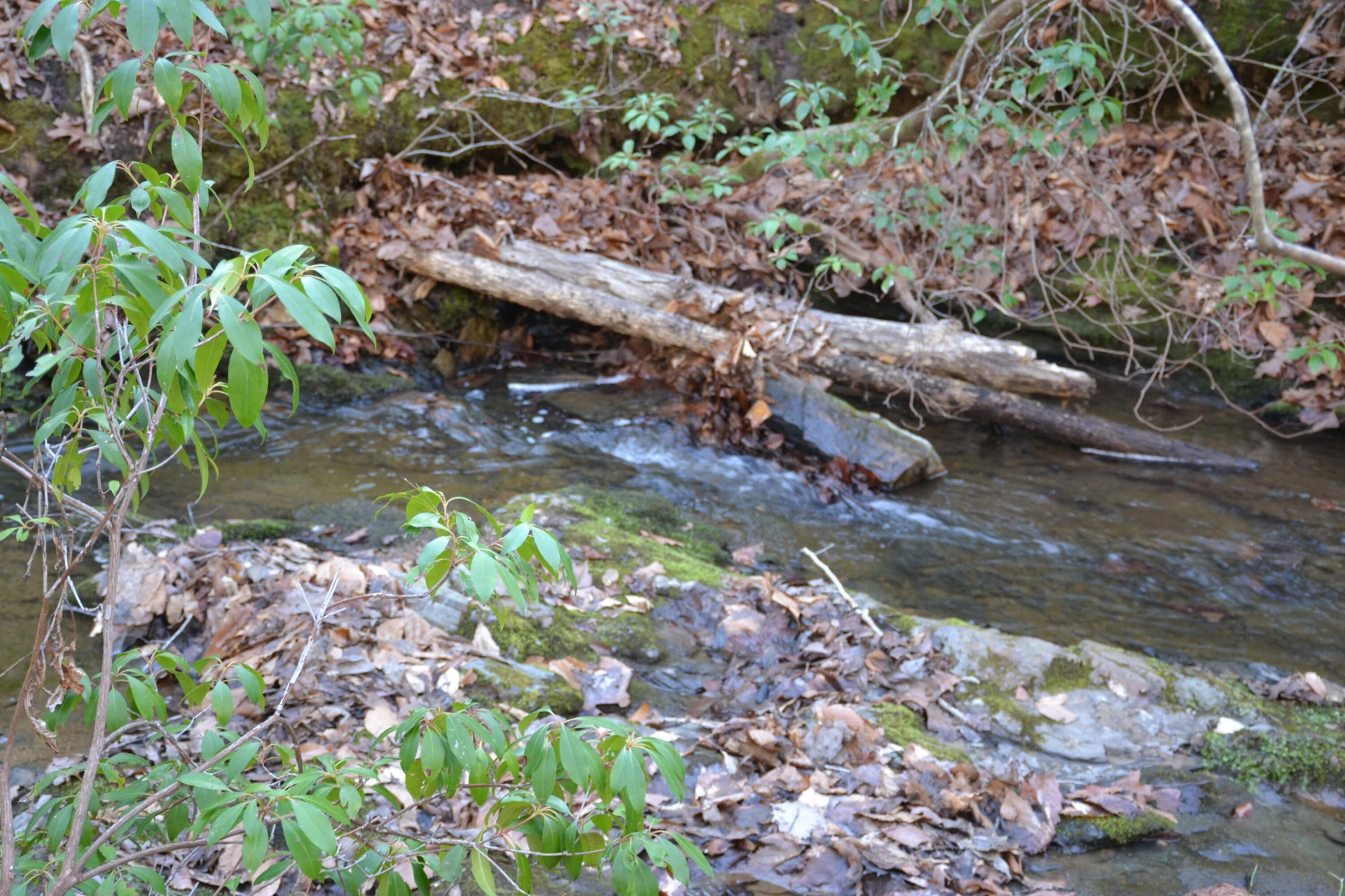 15796 Gretna RD - Photo 41