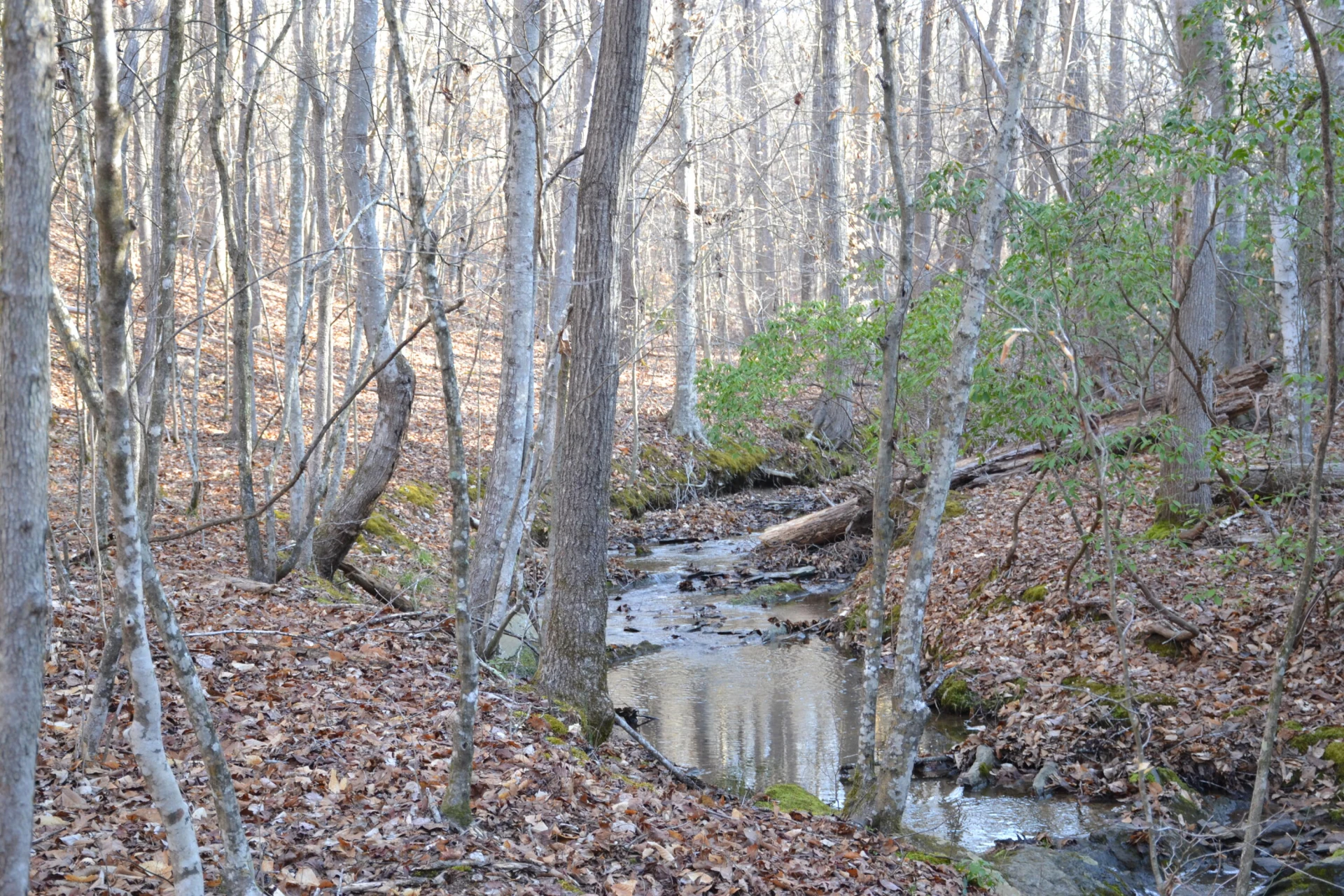 15796 Gretna RD - Photo 42