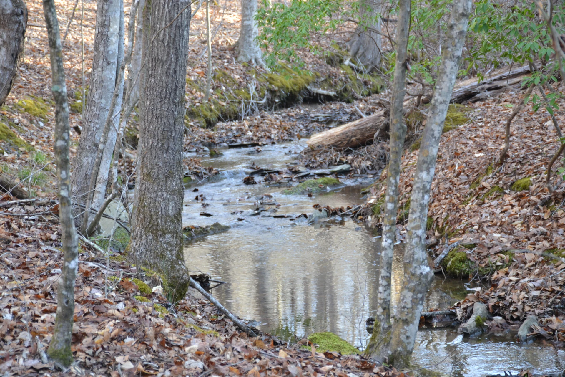 15796 Gretna RD - Photo 43