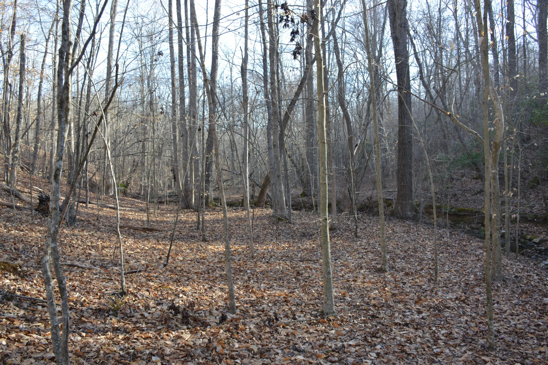 15796 Gretna RD - Photo 44