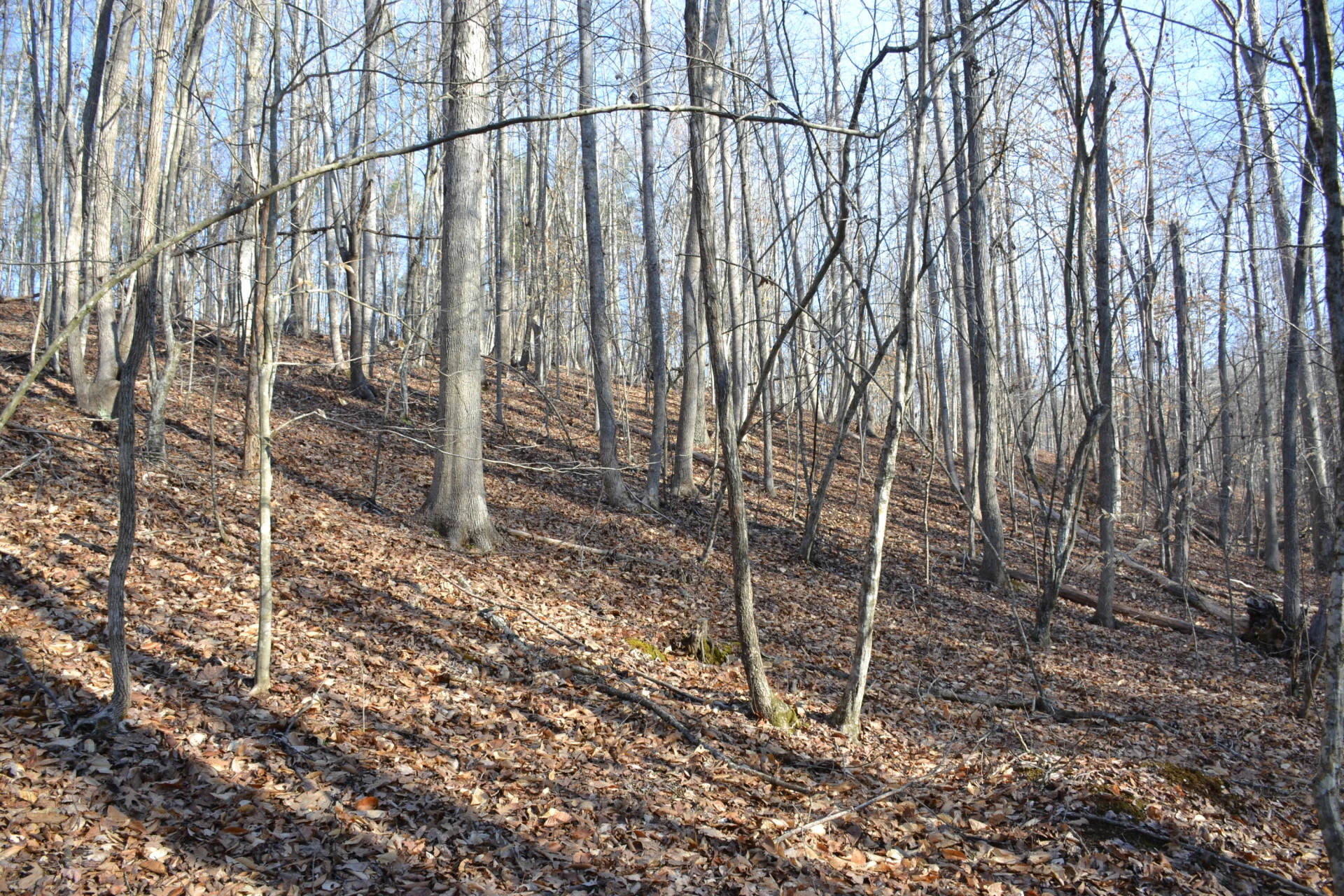 15796 Gretna RD - Photo 45