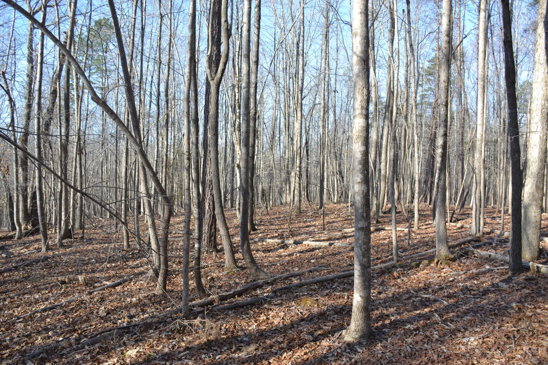 15796 Gretna RD - Photo 46