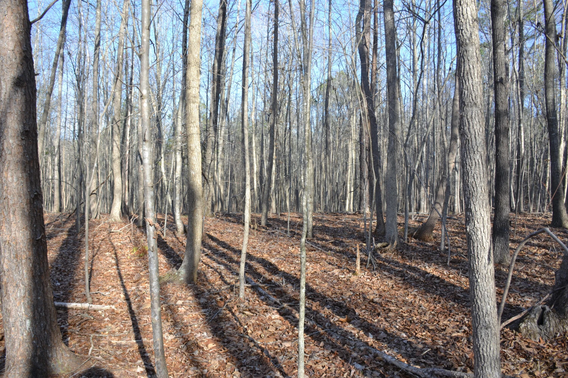 15796 Gretna RD - Photo 47