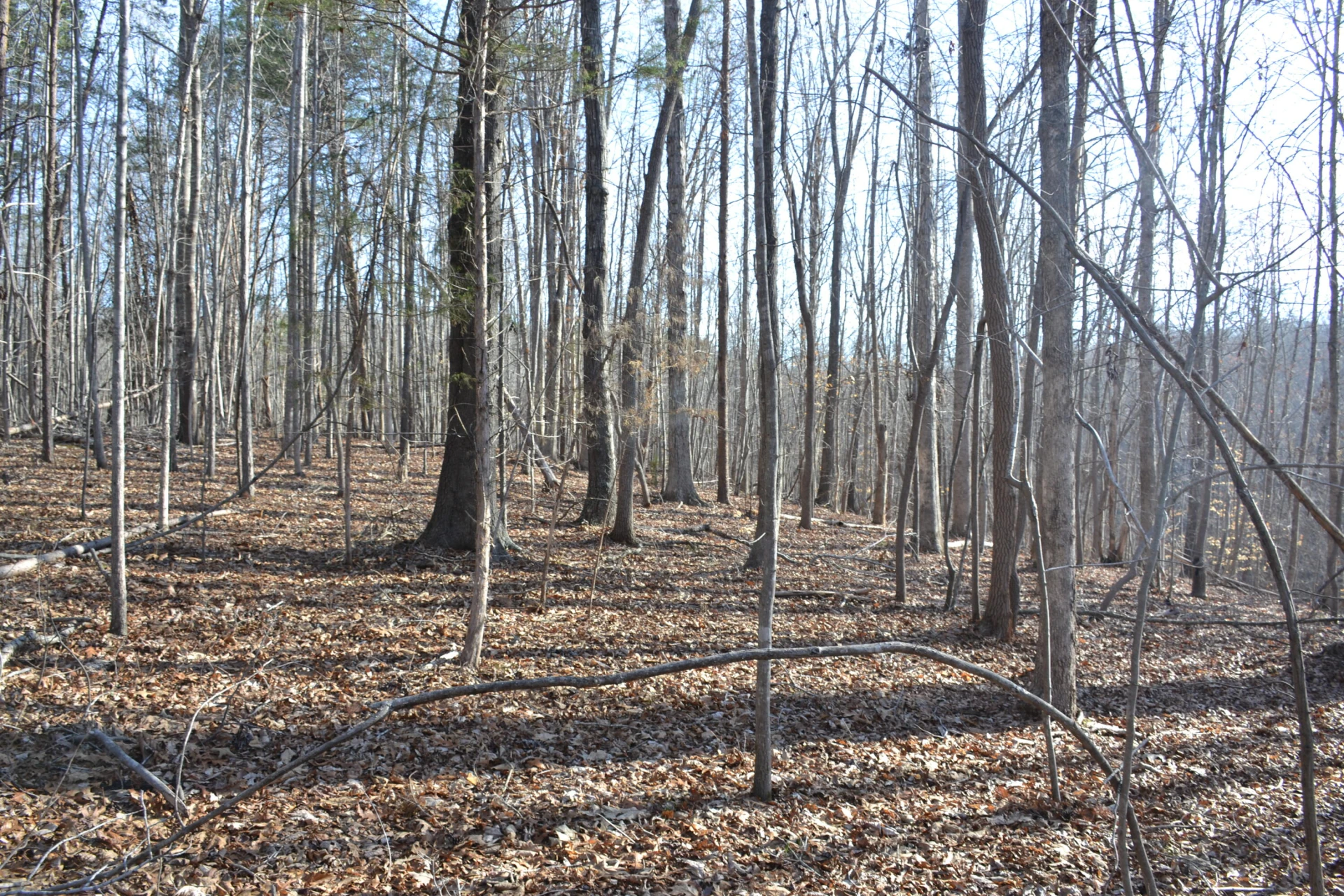 15796 Gretna RD - Photo 48