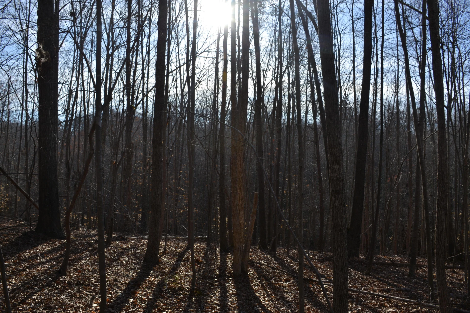 15796 Gretna RD - Photo 49