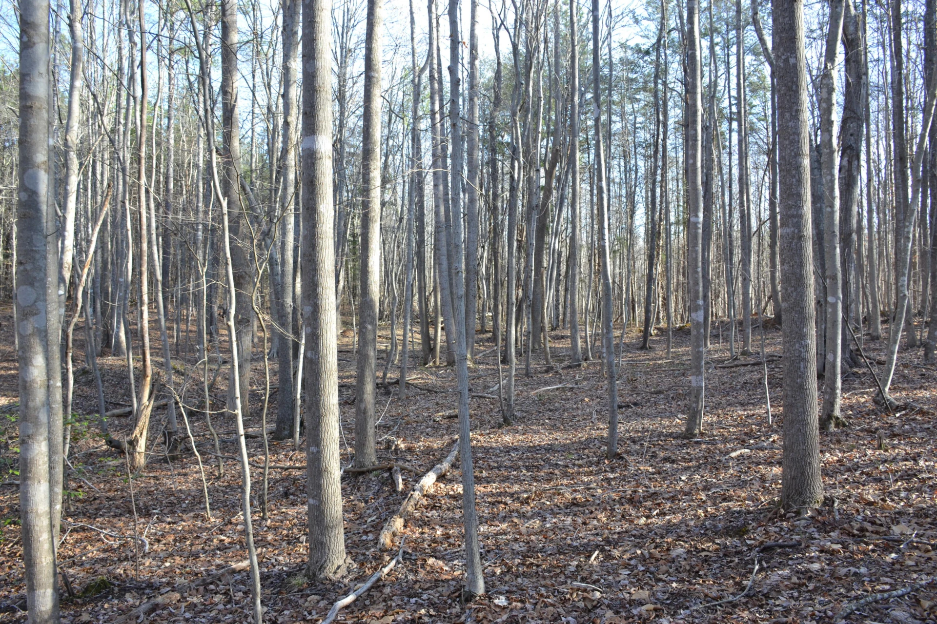 15796 Gretna RD - Photo 50