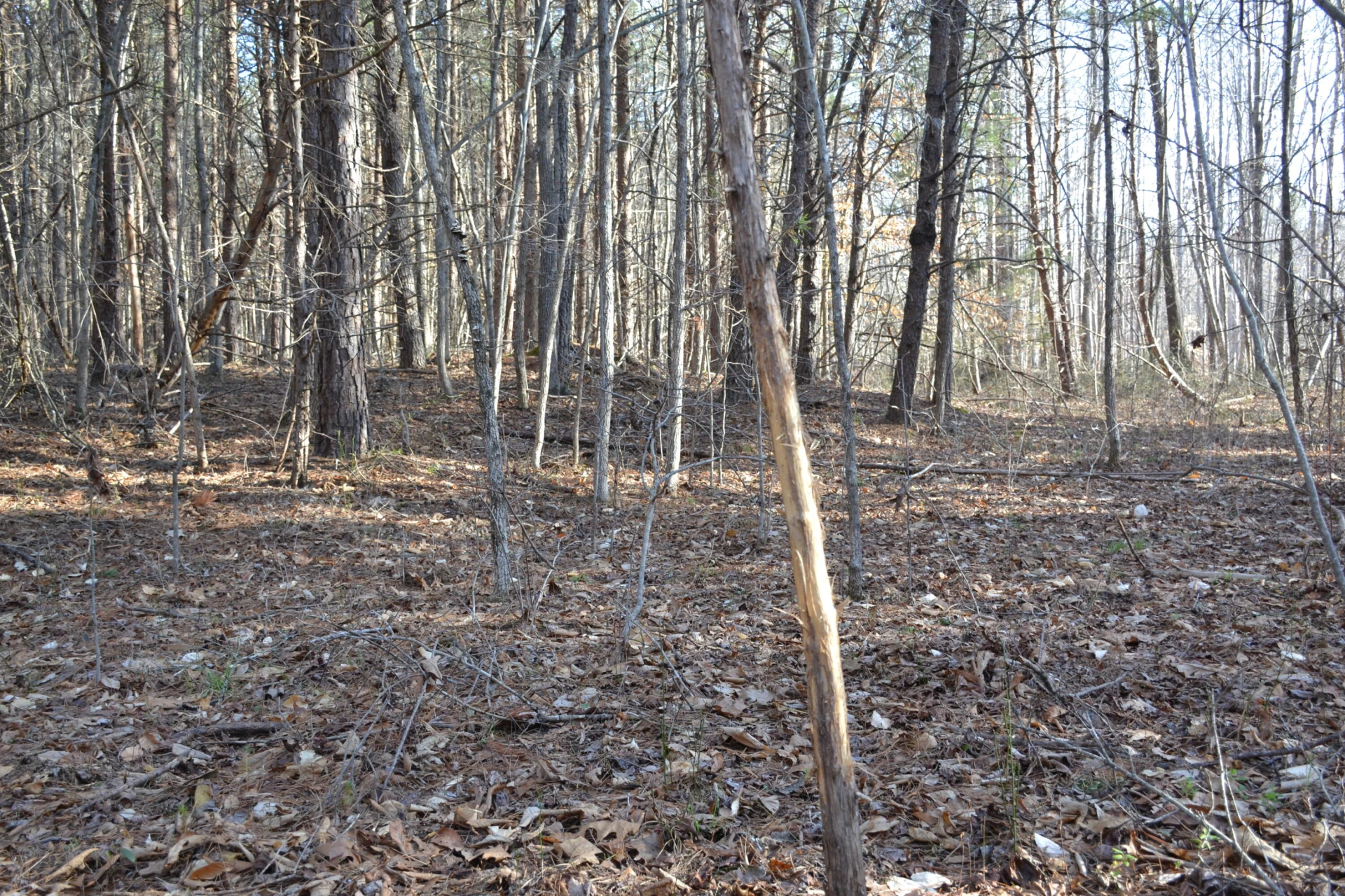15796 Gretna RD - Photo 51