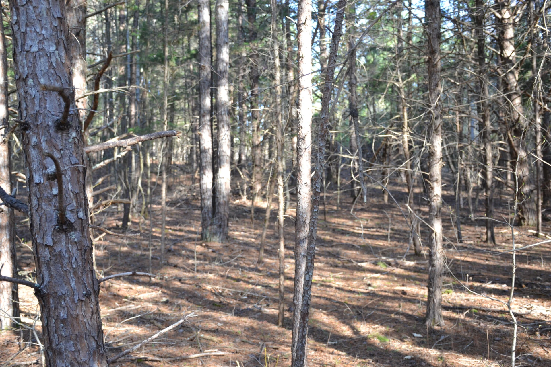 15796 Gretna RD - Photo 53
