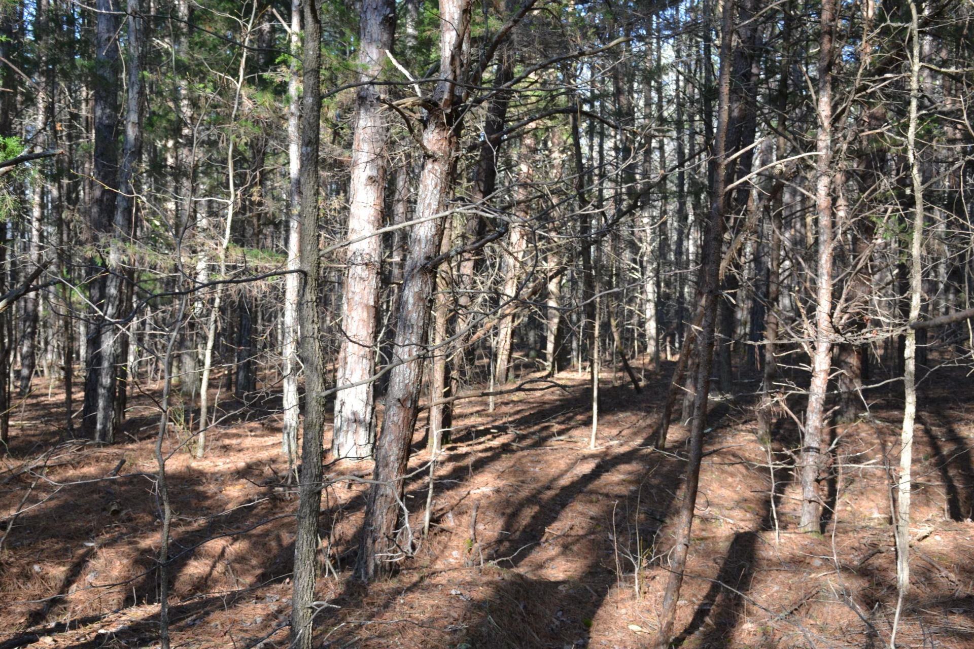 15796 Gretna RD - Photo 54