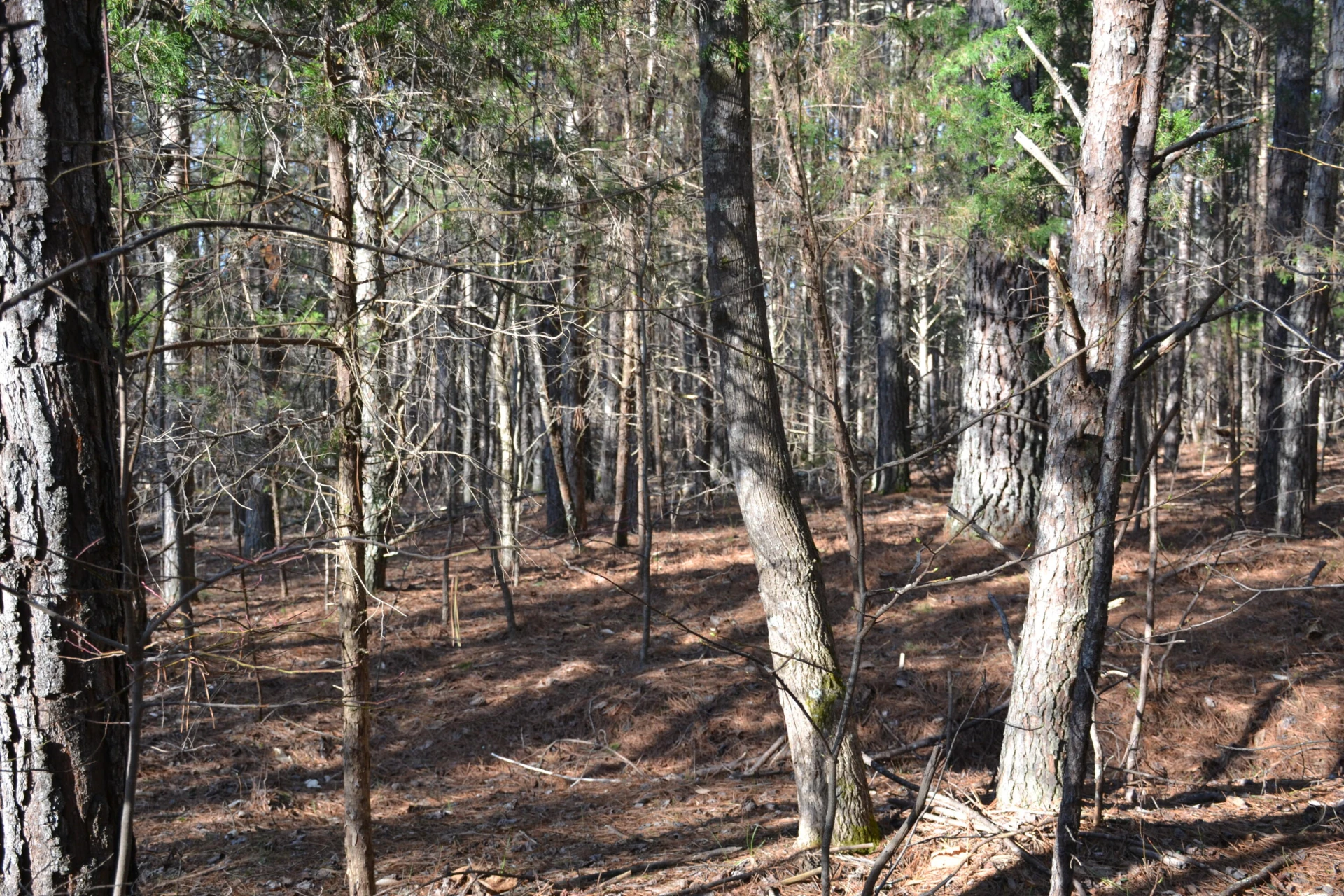 15796 Gretna RD - Photo 55
