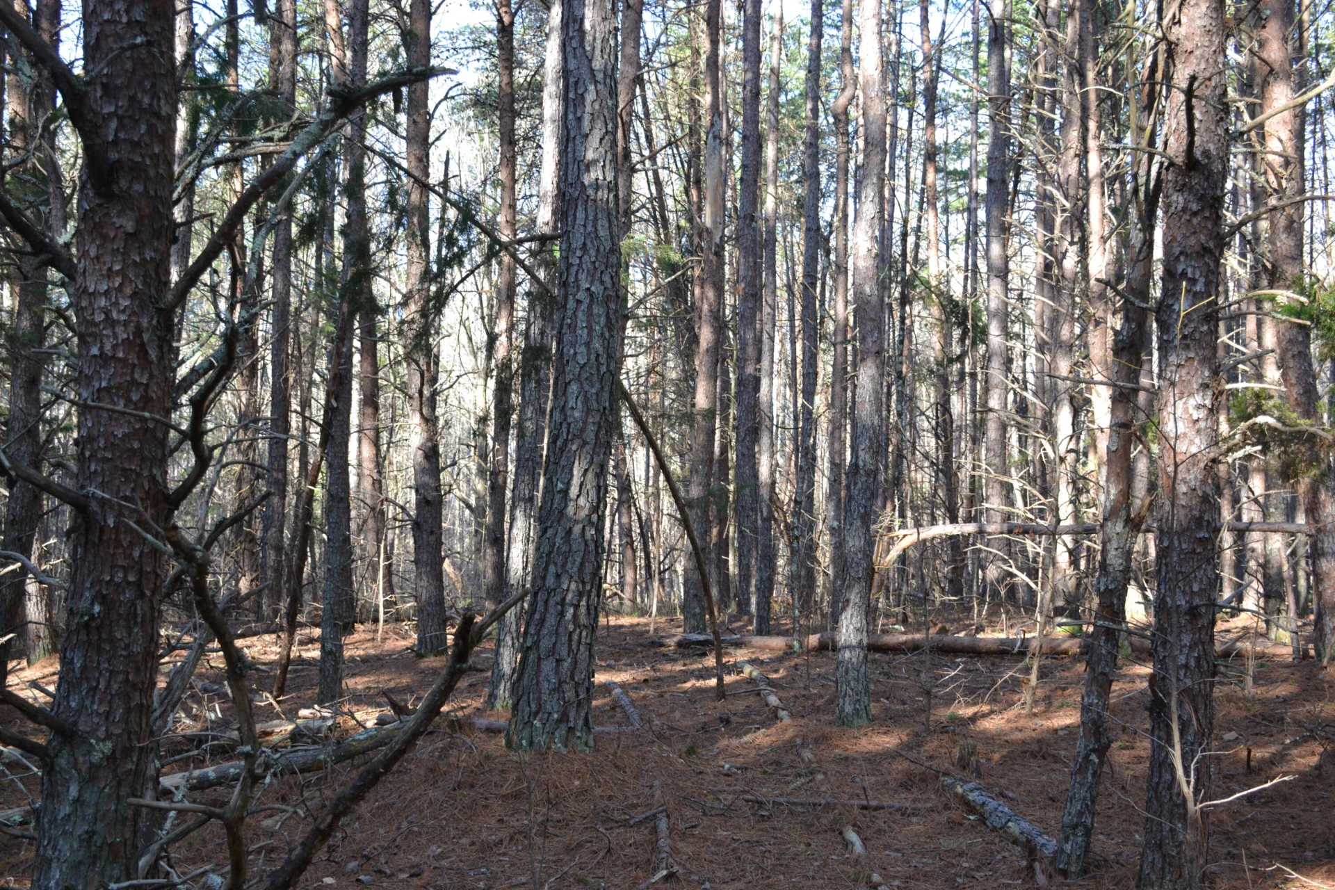 15796 Gretna RD - Photo 56