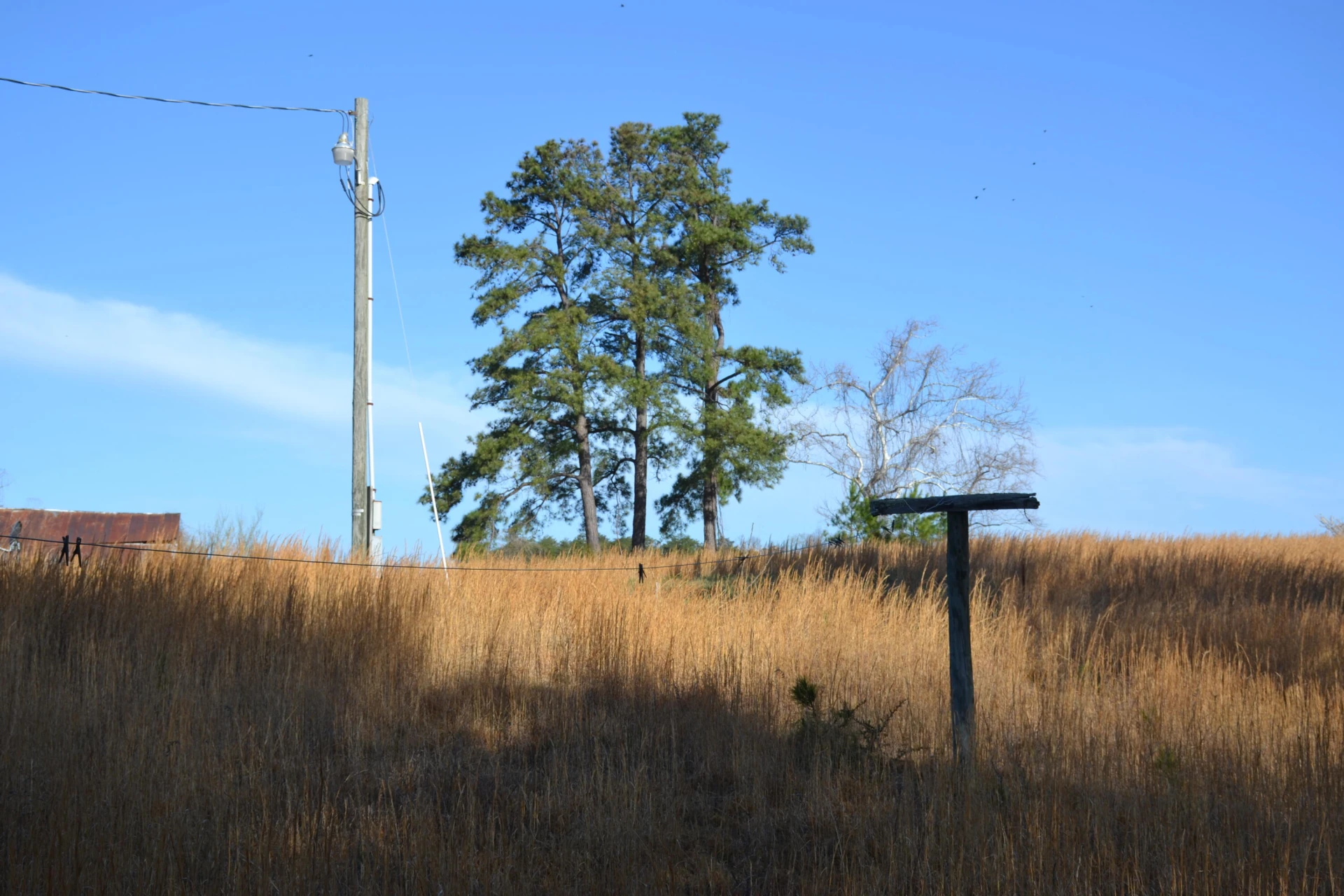 15796 Gretna RD - Photo 59