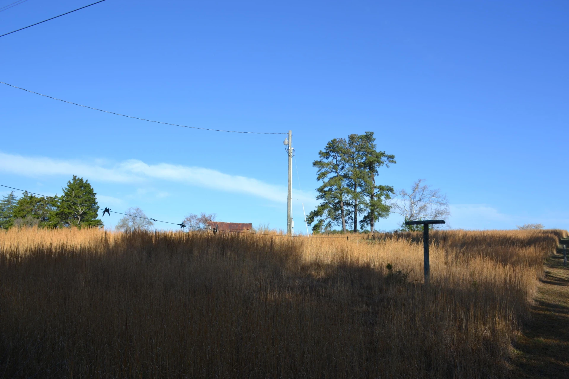 15796 Gretna RD - Photo 60