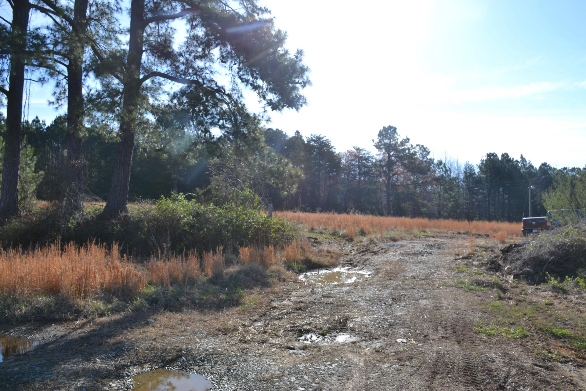 15796 Gretna RD - Photo 62