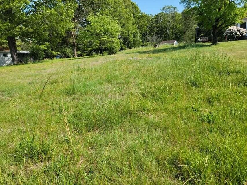 0 Keagy RD - Photo 5