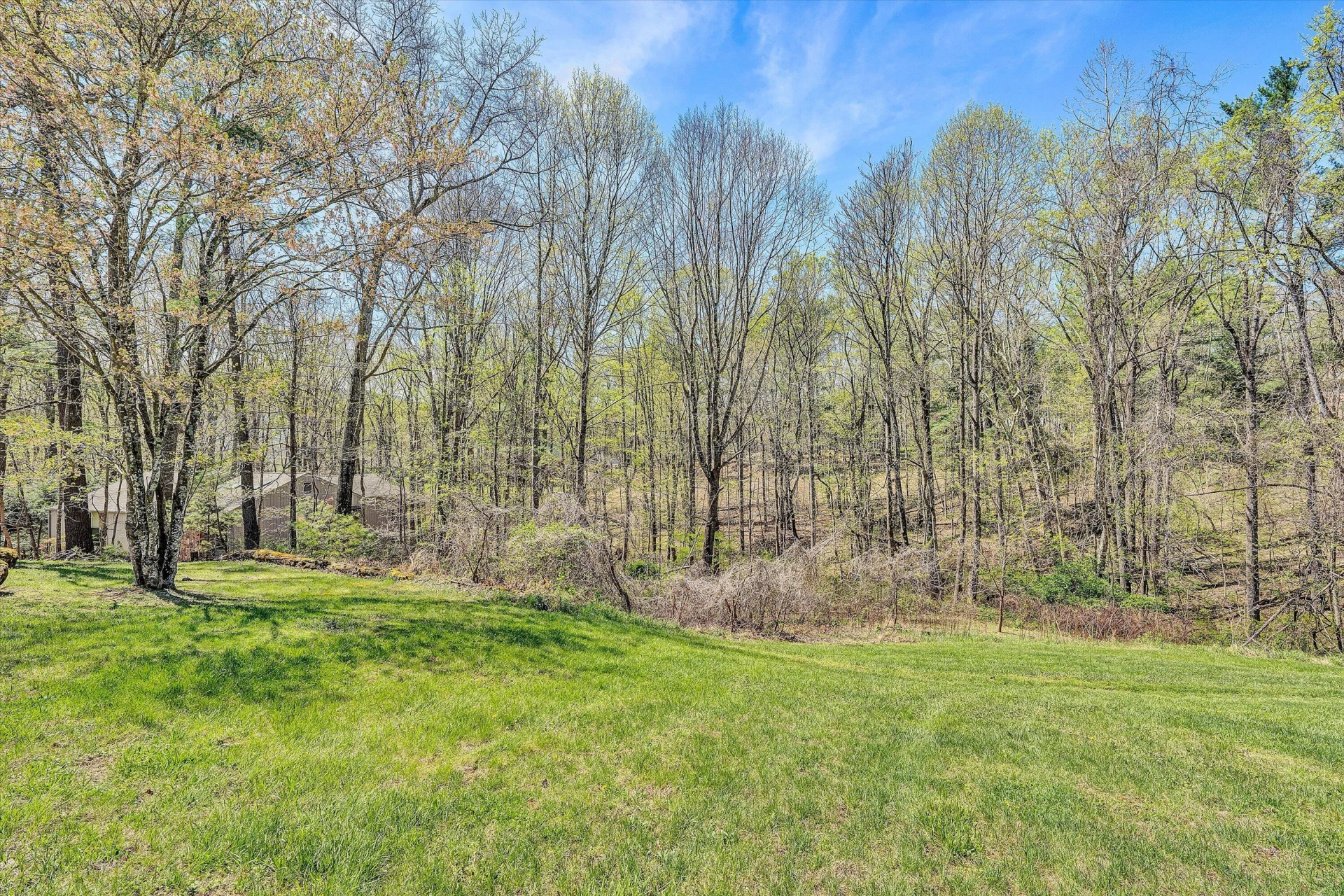 6244 Corntassel LN - Photo 28