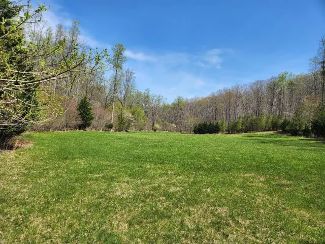 TRACT 13 SHEDD LN, Hardy, VA, 24101