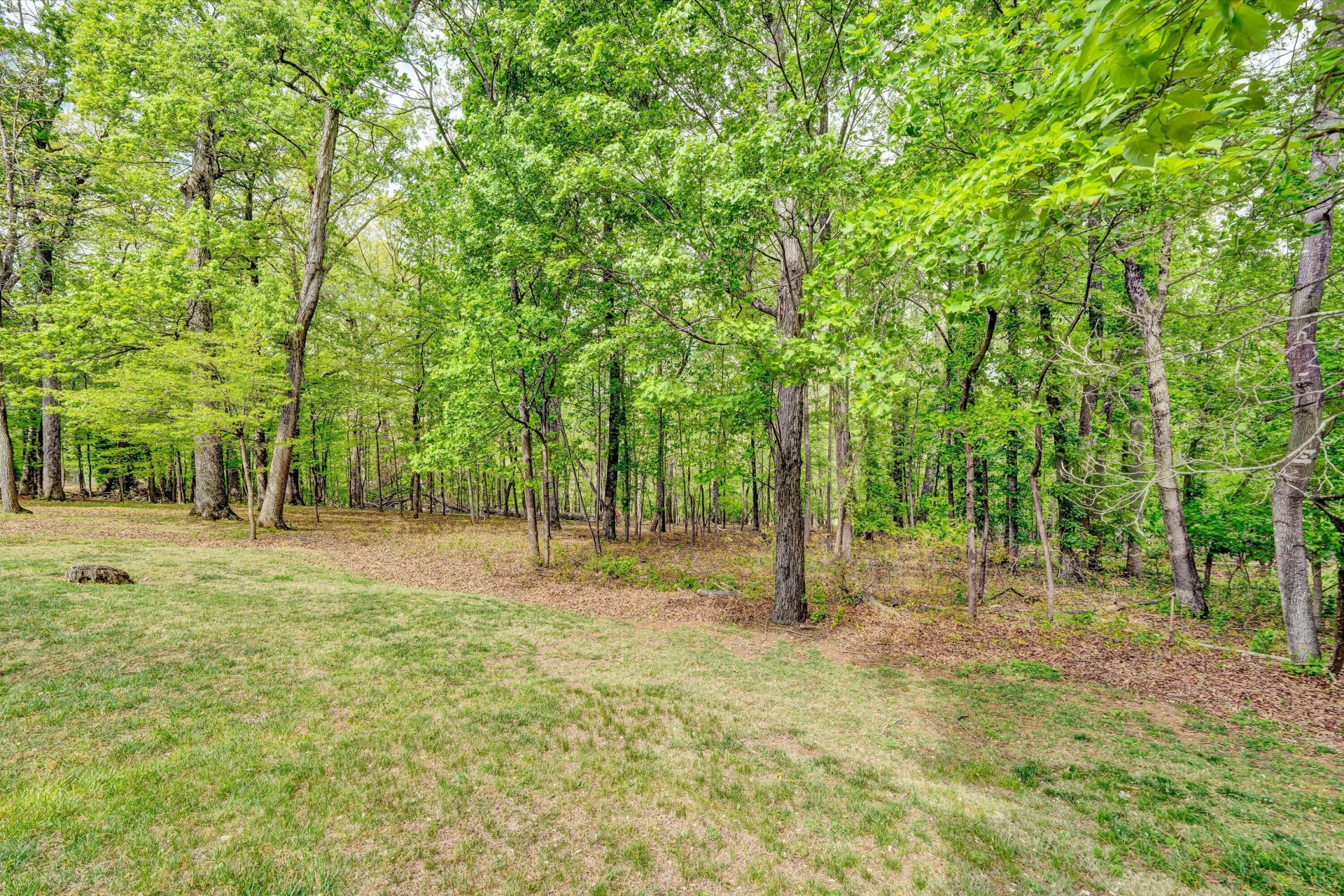 3925 Winding Way RD - Photo 53