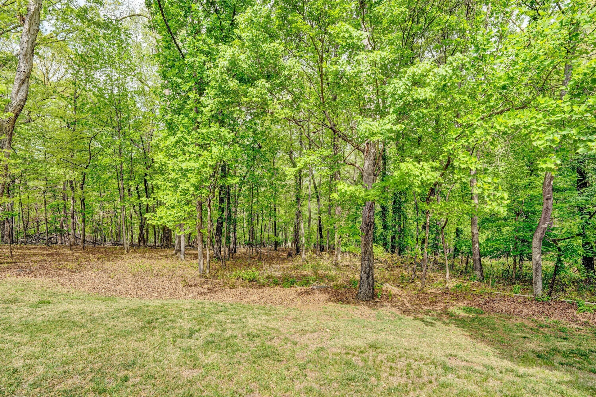 3925 Winding Way RD - Photo 57
